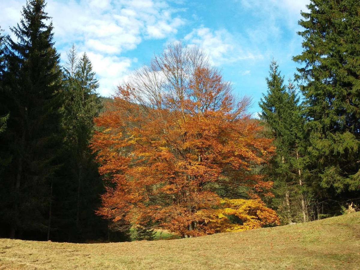 レルモースHaus Haasアパートメント エクステリア 写真
